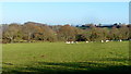 Pastoral land in Llantrisant Fawr Community