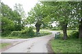 Bridge and Black Poplars in WR13 6LE