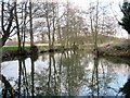 River Waveney at Needham Mill in Needham
