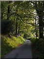 Lane at Eastcott in EX20 4PG