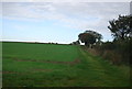 Field boundary off Runhall Rd in NR9 4DQ
