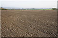 Ploughed and planted field near Tewkesbury Park in GL20 7DL