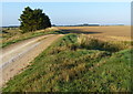 Track and farmland at Wolferton Bank in Sandringham