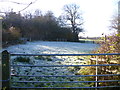 Across the frosty field  in SN11 9NQ
