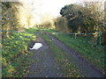 Farm track east of Great Massingham, Norfolk in PE32 2SL