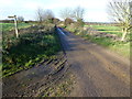 Private lane to Fincham House and Farm near Rougham in PE32 2FQ
