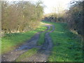 Farmland track east of Great Massingham in PE32 2SY