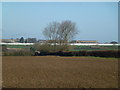 Farmland west of Weasenham St Peter, Norfolk in PE32 2ST