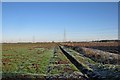 Pylons north from Burwell in CB25 0FX