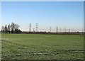 Pylons across Burwell Fen in CB25 0FX