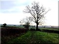 Footpath and Fields near Lower Vicarwood in Mackworth