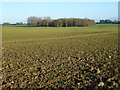 Farmland near East Raynham, Norfolk in NR21 7EJ