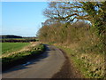 Country lane near East Raynham, Norfolk in NR21 7HX