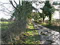 Access road to Whitehouse Farm in NR20 3DR
