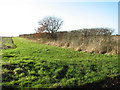 Fields by Springfield Farm in NR20 3DR