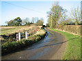 View along Hall Lane in NR20 3DR