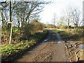 Footpath crossing Hall Lane in NR20 3DR