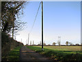 Poles beside Hall Lane in NR20 3FU