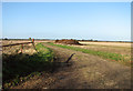 Bridleway off Hall Road in NR20 3ED