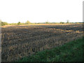 Stubble field north of Tuddenham Road in NR20 3EZ