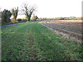 Fields beside the B1147 (Tuddenham Road) in NR20 3EZ