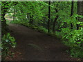 Tree lined path, W side of Rudyard Reservoir, Staffordshire. in ST13 8RW