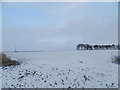 Snow covered field at Newton of Affleck in DD5 3QD