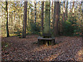 Woodland seat, Heath Lake in RG45 6TQ