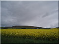 Farmland North of Rescobie Loch. in DD8 2TE