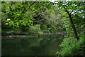 The river Teifi, Cilgerran in SA43 2RZ