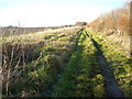 Farm track towards Highway Hill in SN11 8ST