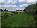 View NNE along St Peter's Way, Bicknacre Common, Bicknacre in CM3 4HF