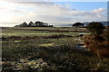 View towards Burbles Hill in Ribble Valley District (B)