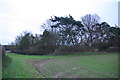 Green Pit, Riby, on a grey December afternoon in Riby
