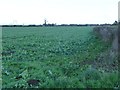 Arable field, Treblesyke Moor in YO61 2RZ