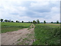 Farmtrack off Blofield Road in NR13 4FP