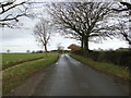 Road into Honingham near Greenacres Farm in NR9 5DH