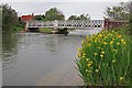 Yellow Iris & bridge over River Avon Breamore in SP6 2AG
