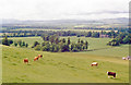 Strathmore: NW view to Grampians from Hill of Finavon, 1988 in DD8 3PW