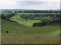 Dry valley by Knapp Down above Broad Chalke (close up) in SP3 5JE