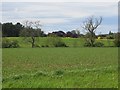 Arable land, Fallodon in NE67 5EB