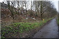 Trans Pennine Trail rear of Deerlands Avenue in S5 9LA