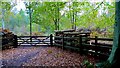 Wildlife Sanctuary in Old Park Wood in TN17 2ND