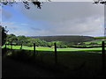 Approaching shower over Helland Wood, Holton near Bodmin in PL30 4HU