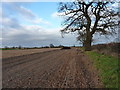 Stubble and oaks at Conquermoor Heath in Tibberton and Cherrington