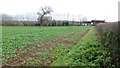 Arable land, Withington Marsh in Withington