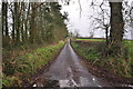 Taunton Deane : Nethercott Lane in TA4 3EP