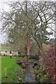 Taunton Deane : Small Stream in TA4 3EP