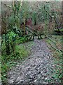 Footbridge, Old Mill Stream in RH17 5ED