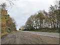 Layby on the B1150 near Hills and Holes Farm in NR12 7AZ